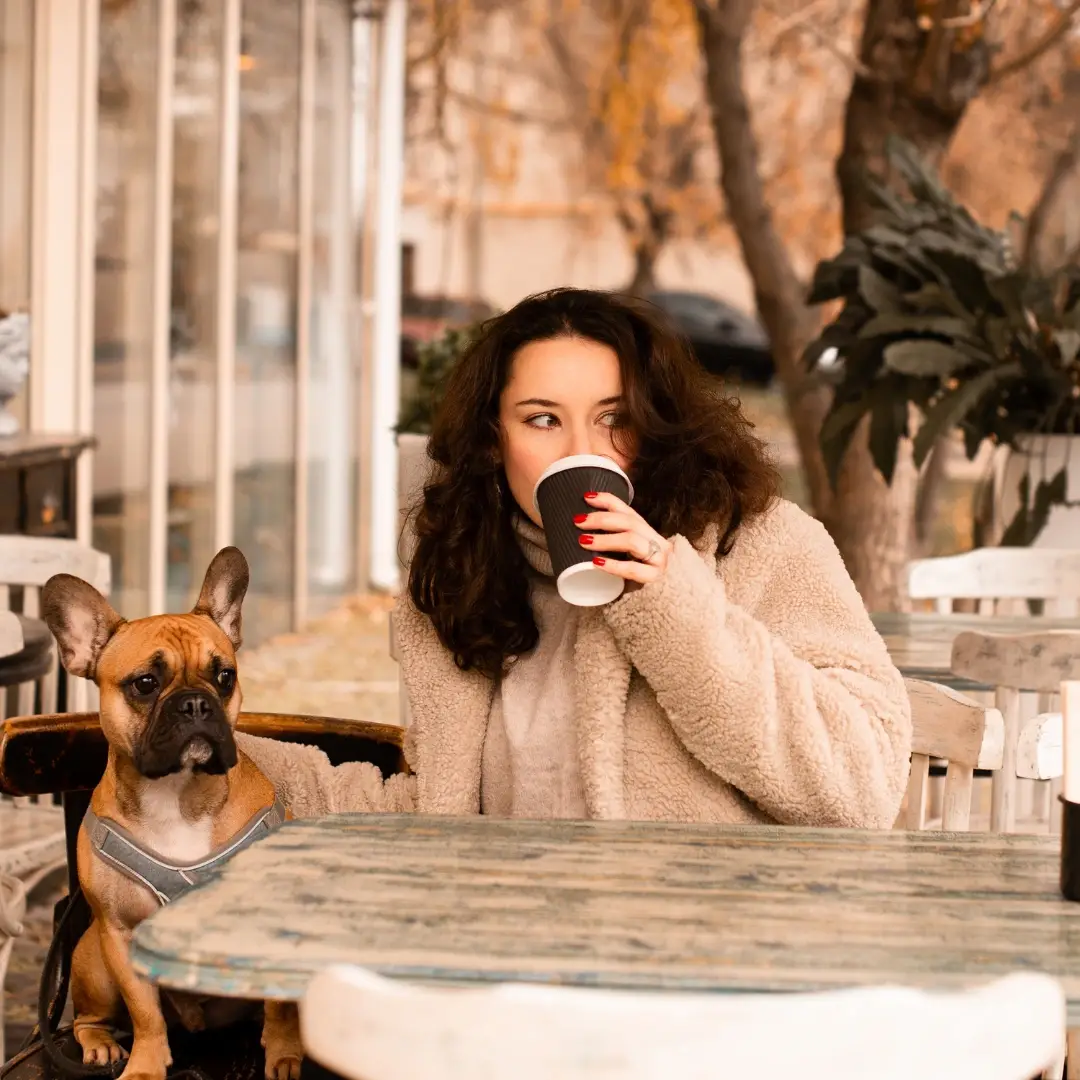 Paws & Pints: Rooftop Vibes at Nysa Sky Bar with your Pets