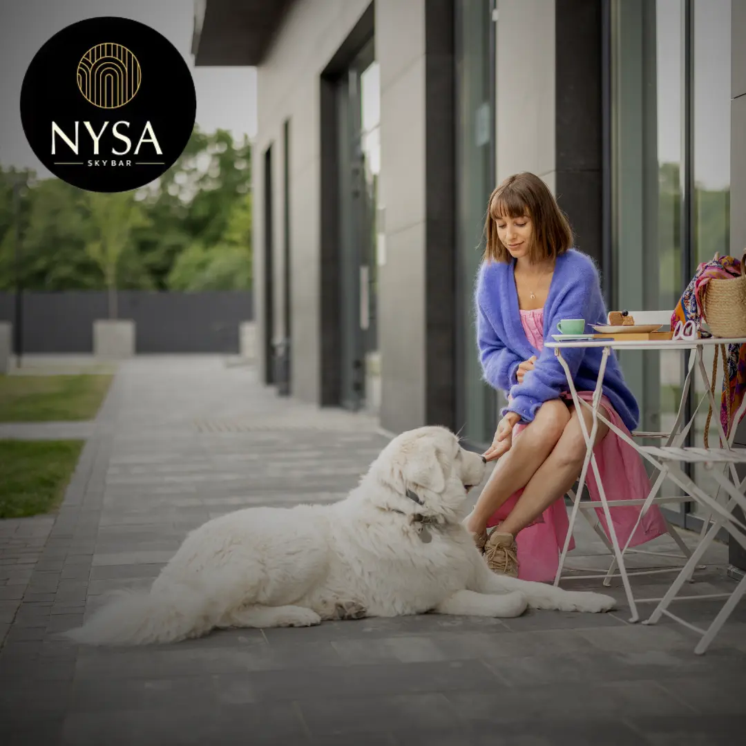 How to Make Your Rooftop Outing Pet-Friendly and Fun? 